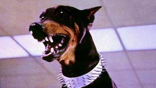 The Doberman Gang