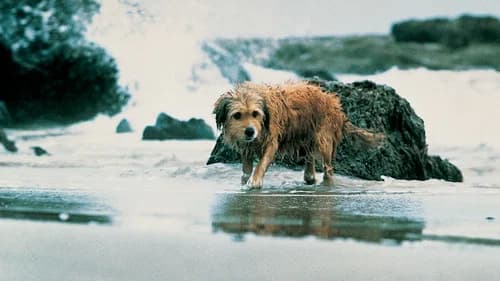 Benji the Hunted